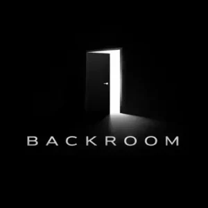 Λογότυπο Backroom της Koukhs Computer Services